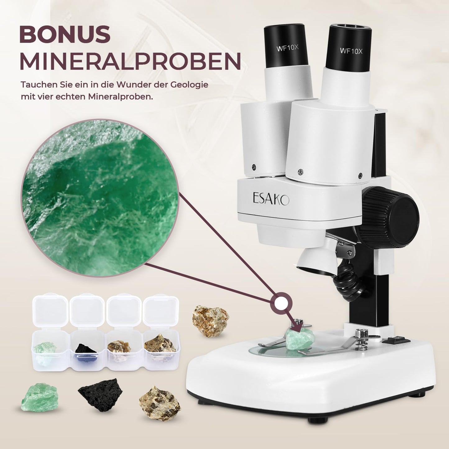 Dual LED Kindermikroskop Set mit Objektträgern, Mineral & Insekten Proben, Lernspielzeug für Kinder