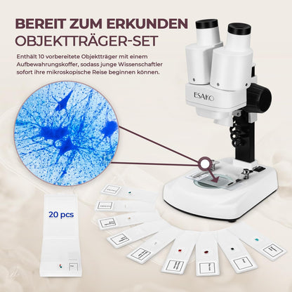 Dual LED Kindermikroskop Set mit Objektträgern, Mineral & Insekten Proben, Lernspielzeug für Kinder