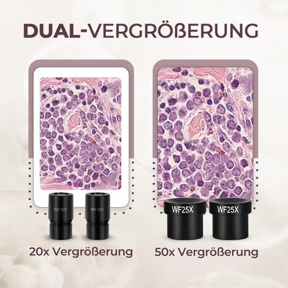 Dual LED Kindermikroskop Set mit Objektträgern, Mineral & Insekten Proben, Lernspielzeug für Kinder